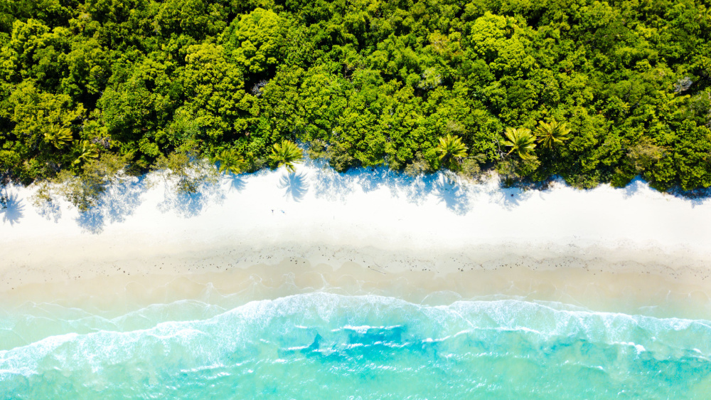 Cape Tribulation in Australia