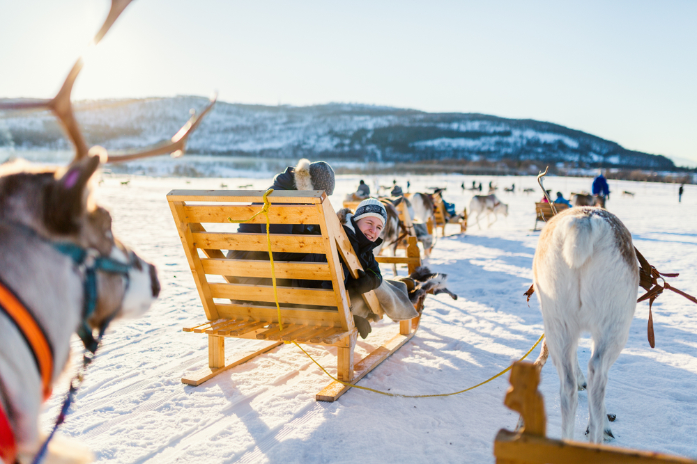 Compare Reindeer Sledding Tour in Tromso Norway 2