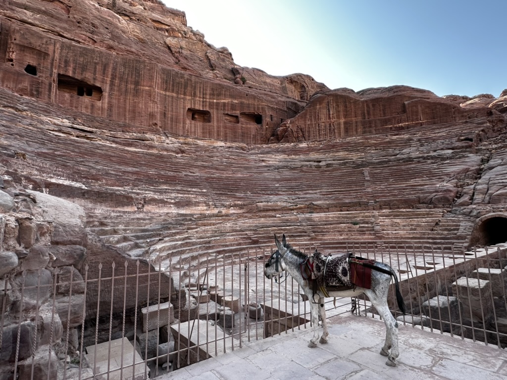 Top-Rated Petra and Wadi Rum Tours from Amman, Jordan: Petra Roman Theater