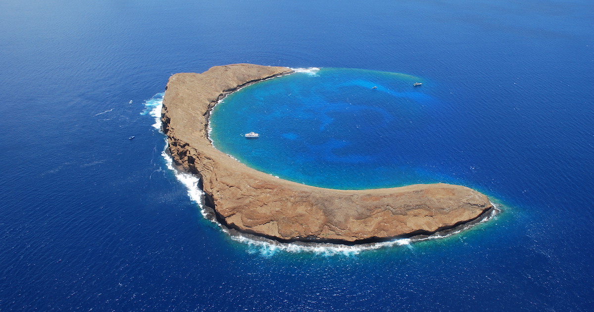 How to Get to Molokini Crater 100 Top Things to Do