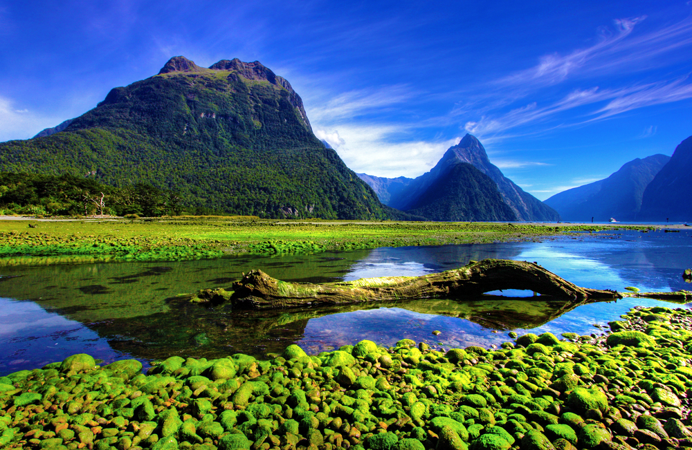 How to get to Milford Sound from Queenstown, New Zealand 