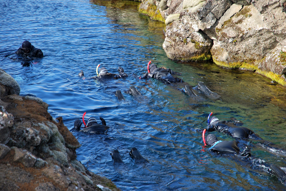 Silfra Fissure Snorkeling Tour in Iceland 4