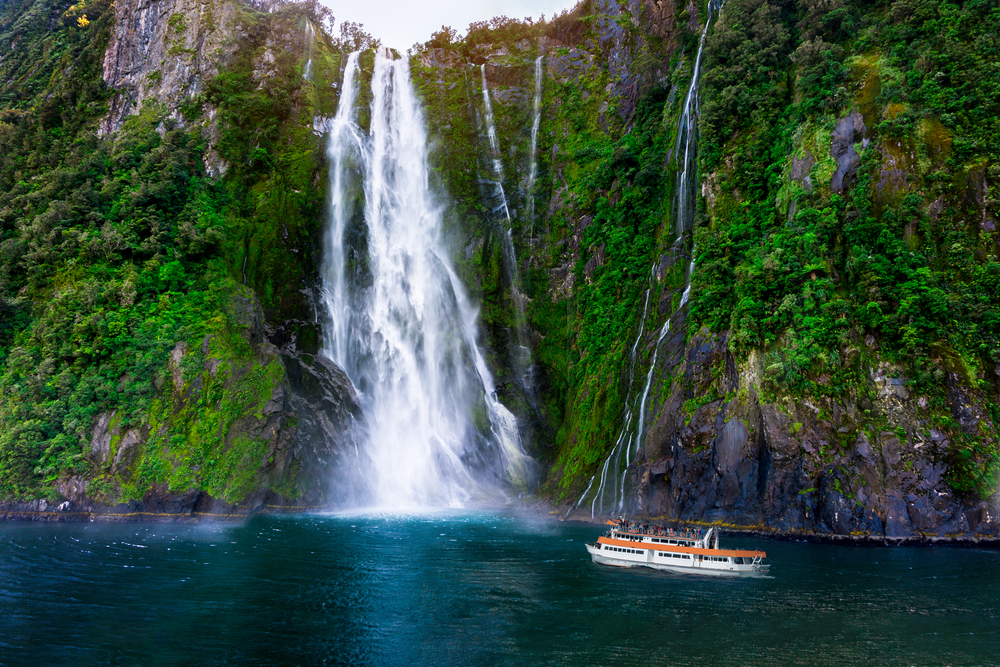 What to See on a Milford Sound Cruise?